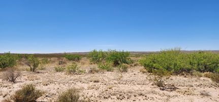 Undeveloped Land for sale in Hudspeth County, Texas