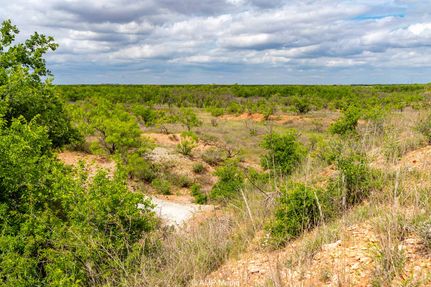 Timberland Property for sale in Jones County, Texas