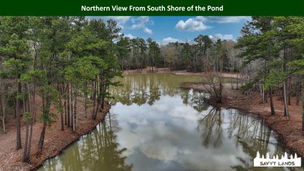 Land for sale in Tyler County, Texas