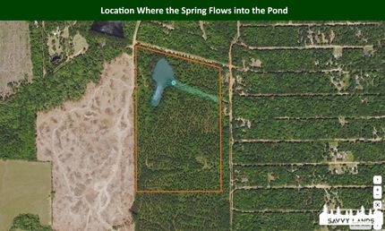 Land for sale in Tyler County, Texas