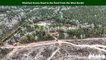 Farm and Ranch for sale in Tyler County, Texas