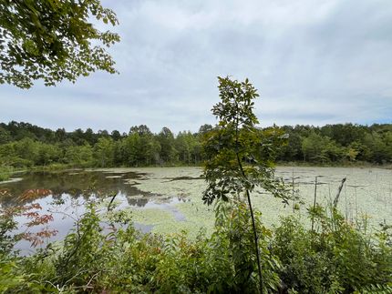 Land for sale in Tippah County, Mississippi