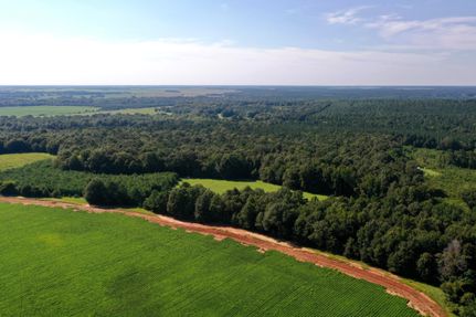 Land for sale in Macon County, Georgia