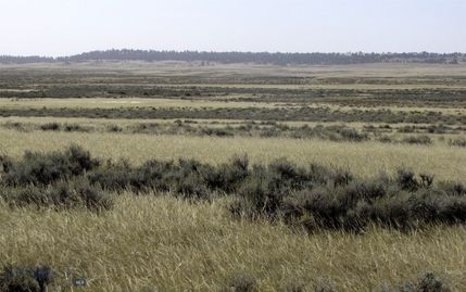 Farm and Ranch for sale in Yellowstone County, Montana