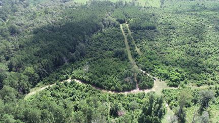 Recreational Property for sale in Newton County, Texas