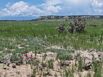 Land for sale in Pueblo County, Colorado