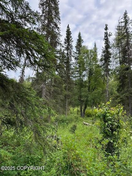 Undeveloped Land in Kenai Peninsula Borough, Alaska