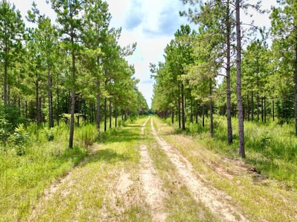 Hunting Property in Randolph County, Georgia