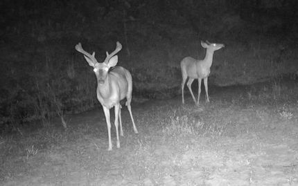 Recreational Property in Calhoun County, Florida