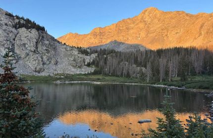 Timberland Property in Costilla County, Colorado