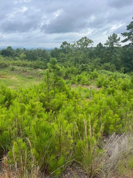 Land for sale in Le Flore County, Oklahoma