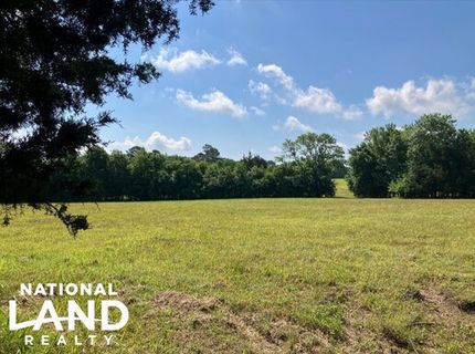 Land in Lowndes County, Mississippi