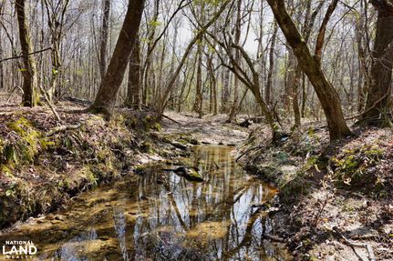 Hunting Property in Tallapoosa County, Alabama