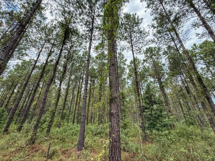 Recreational Property for sale in Williamsburg County, South Carolina