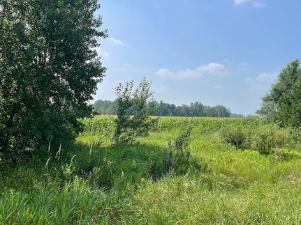 Undeveloped Land in Mille Lacs County, Minnesota