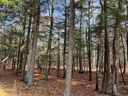 Undeveloped Land in Door County, Wisconsin