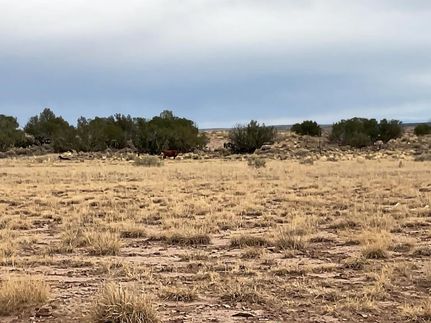 Farm and Ranch for sale in Apache County, Arizona