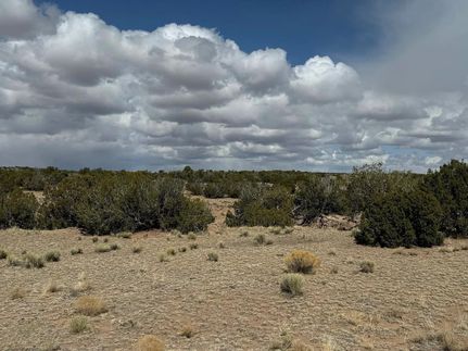 Undeveloped Land in Apache County, Arizona