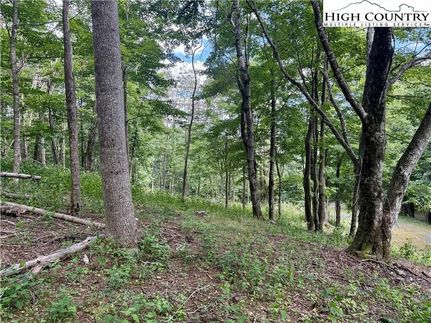 Recreational Property for sale in Ashe County, North Carolina