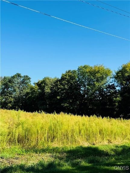 Undeveloped Land in Tompkins County, New York