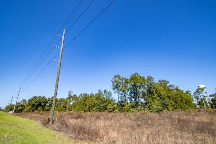 Undeveloped Land for sale in Calhoun County, Florida
