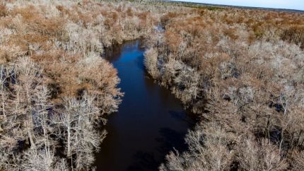 Land for sale in Calhoun County, Florida