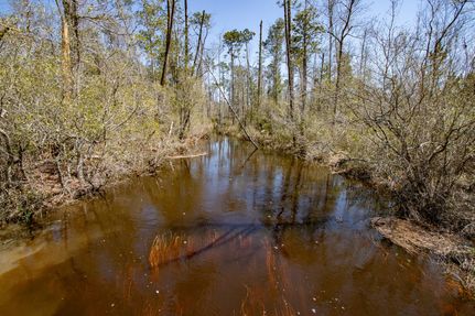 Land for sale in Calhoun County, Florida