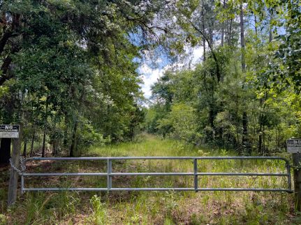 Timberland Property for sale in Lafayette County, Florida