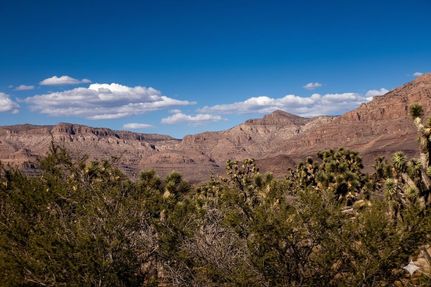 Timberland Property in Mohave County, Arizona