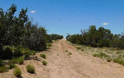 Farm and Ranch for sale in Apache County, Arizona