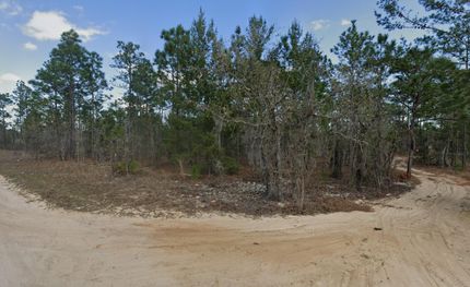 Undeveloped Land for sale in Putnam County, Florida