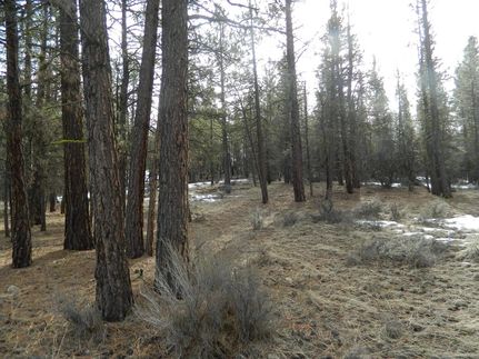 Undeveloped Land for sale in Klamath County, Oregon