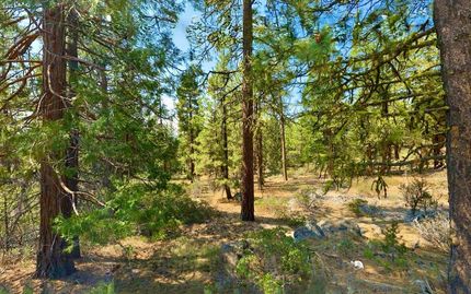Undeveloped Land in Klamath County, Oregon