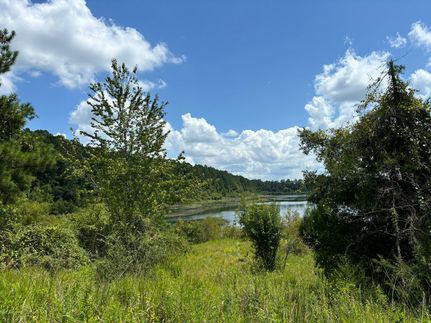 Undeveloped Land for sale in Decatur County, Georgia