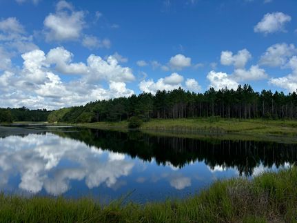 Land for sale in Decatur County, Georgia