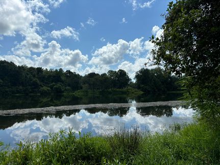 Lakefront Property for sale in Decatur County, Georgia