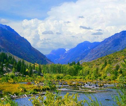 Land for sale in Mono County, California