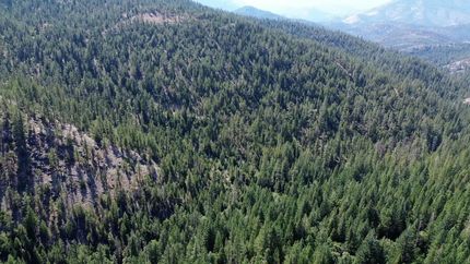 Undeveloped Land for sale in Siskiyou County, California