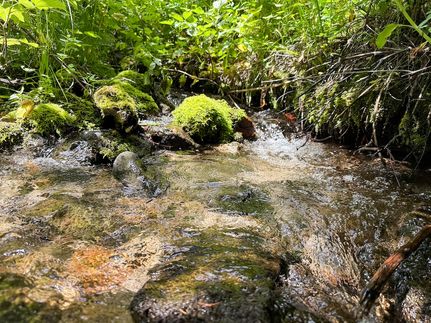 House for sale in Jefferson County, Montana