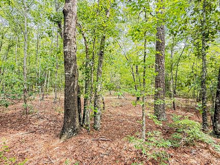 Land for sale in Marlboro County, South Carolina