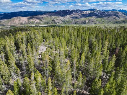 Recreational Property for sale in Deer Lodge County, Montana