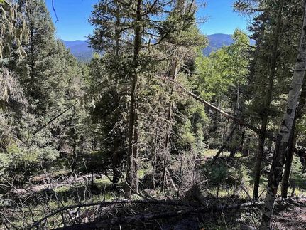 Farm and Ranch in Colfax County, New Mexico