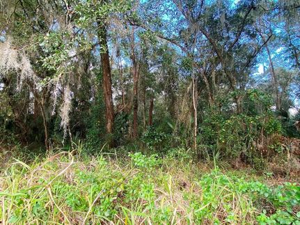 Recreational Property for sale in Putnam County, Florida