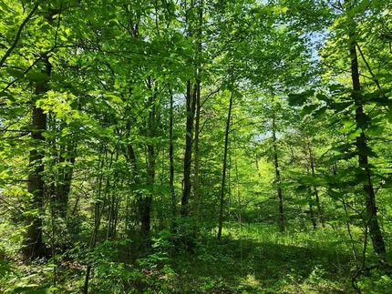 Hunting Property for sale in Chemung County, New York