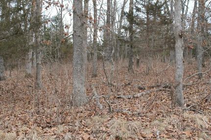 Undeveloped Land in Benton County, Missouri