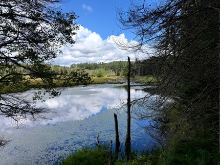 Land for sale in Herkimer County, New York