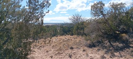 Farm and Ranch for sale in Apache County, Arizona