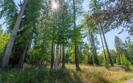 Timberland Property for sale in Flathead County, Montana