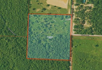 Undeveloped Land for sale in Polk County, Arkansas