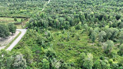 Undeveloped Land for sale in Polk County, Arkansas